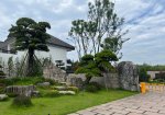 嚴(yán)家灣灣盆景園